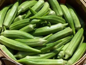High Yield Okro Seeds for Home Garden