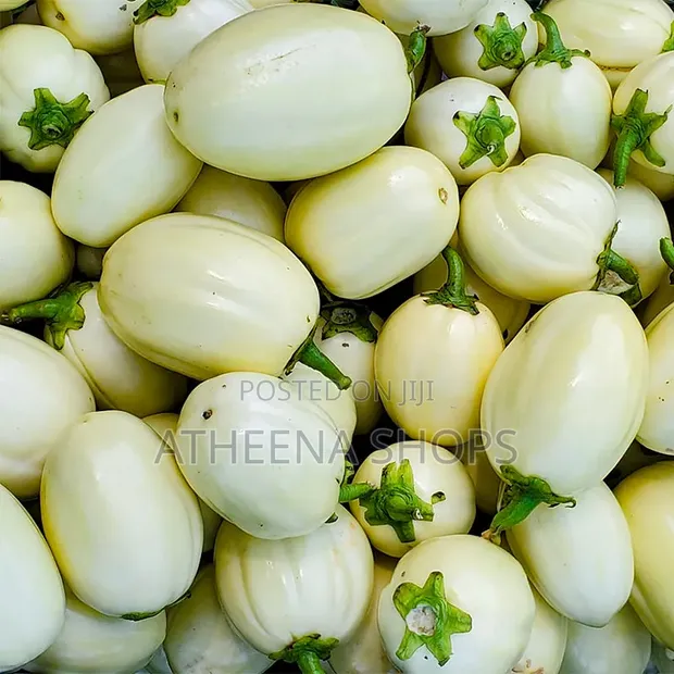 High Yielding Garden Egg Seeds - 1
