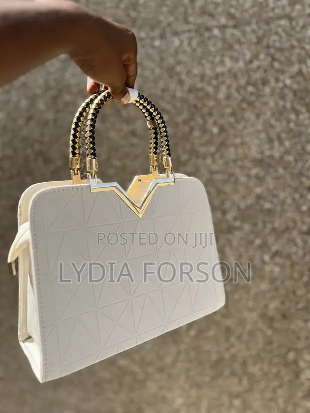 Ladies Handbags - 1
