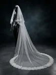 Luxury Cathedral Wedding Veil with Comb - 3