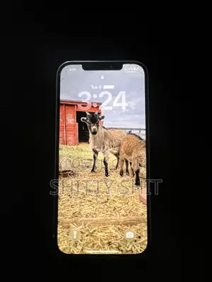 Apple iPhone 12 Pro Max 128GB White
