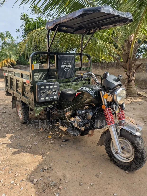 Apsonic AP200GY-7 Tricycle 2024 Green - 1