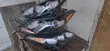 Kia Sportage 2017-2018 Headlight Pair (Used) - 1