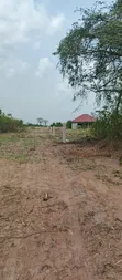 Registered Land for Sale at Asebi, Dodowa - 1