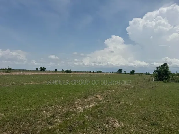 70x100ft Land for Sale in Sege - 1