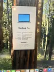 Apple MacBook Pro 15.4" Intel Core i9 16GB RAM 1TB SSD - 5