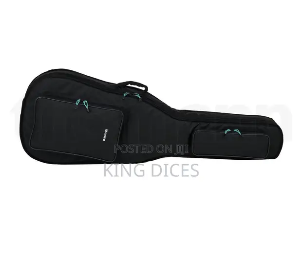 Padded Bass Guitar Gig Bag - 1