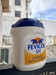 Original Fevicol SH Synthetic Resin Adhesive - 5KG - 1