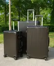 Luxurious Traveling Bag Set - 3