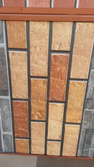 Facial Wall Tiles - 30x60 cm Porcelain