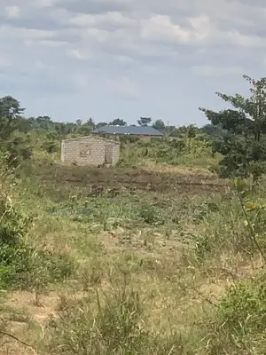 Litigation-Free Land at Sege Junction