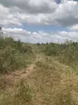 Litigation-Free Land at Sege Junction - 2