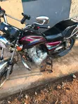 Royal RY125 2024 Motorcycle - 3