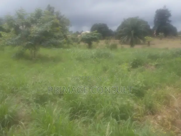 Plot of Land in Sunyani Mantukwa for Sale - 1