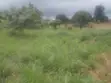 Plot of Land in Sunyani Mantukwa for Sale - 1