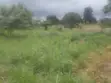 Plot of Land in Sunyani Mantukwa for Sale - 2