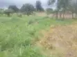 Plot of Land in Sunyani Mantukwa for Sale - 3