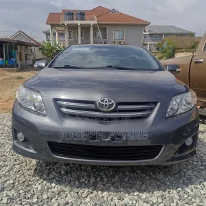 Toyota Allex 2010 Gray