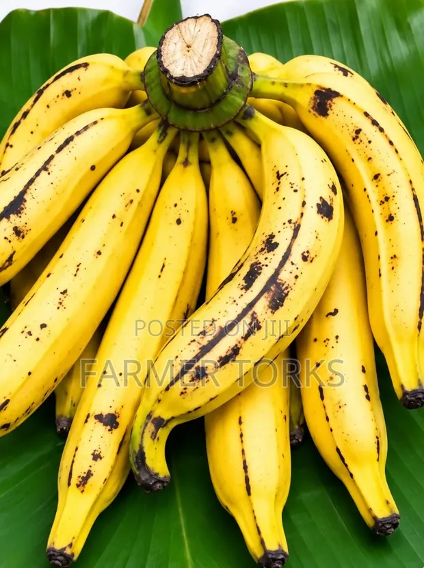 Ripe Plantain - 1