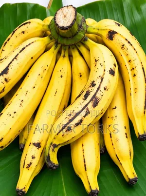 Ripe Plantain