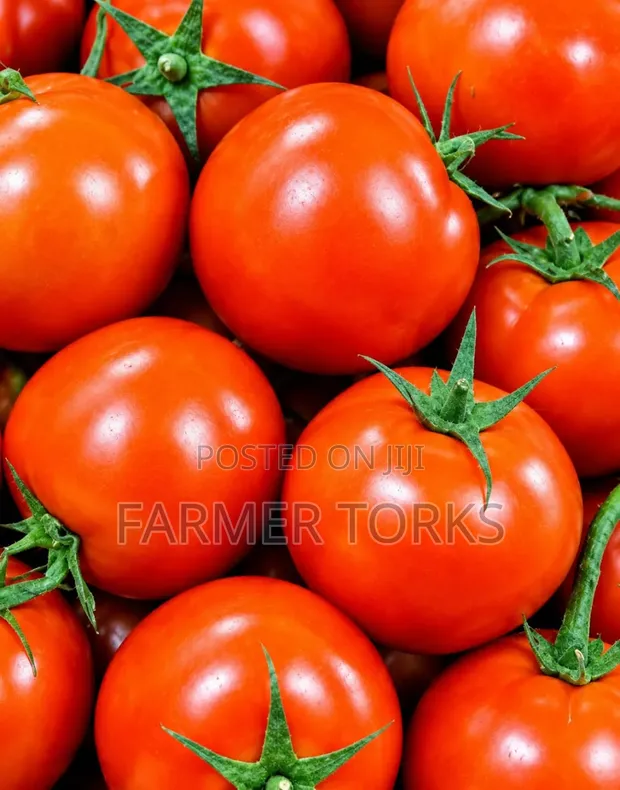 Farm Fresh Tomatoes - 1