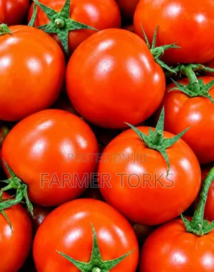 Farm Fresh Tomatoes