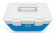 Vaccine Storage Cooler Box 12L with Thermometer - 4