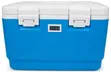 Vaccine Storage Cooler Box 12L with Thermometer - 5