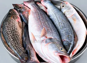Cassava Fish