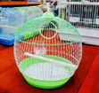 Oval Bird Cage for Small Birds - 2