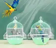 2 Mini Bird Cages - Different Designs - 2
