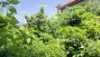 Land for Sale at Atimatim-Essen - 2