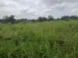 Commercial/Residential Land for Sale, Asuoyeboah - 2