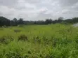 Commercial/Residential Land for Sale, Asuoyeboah - 3