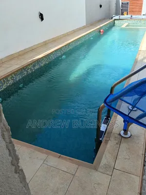Andrew Business: Professional Swimming Pool Services in Accra