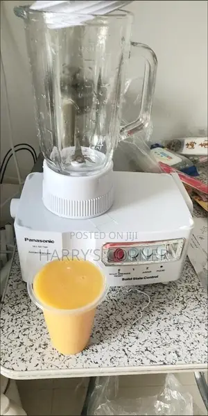 3-in-1 Panasonic Blender / Juicer