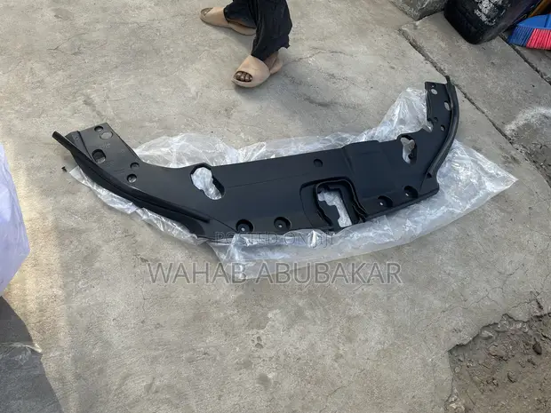 Lexus RX350 2024 Radiator Panel - 1