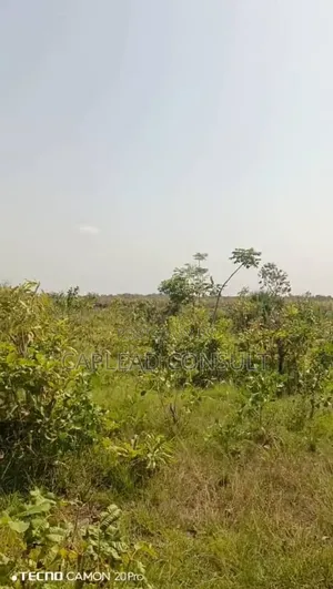 5,000 Acres Registered Farmland for Sale - Adaklu Wumenu