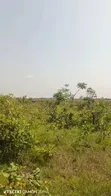 5,000 Acres Registered Farmland for Sale - Adaklu Wumenu - 1