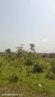 5,000 Acres Registered Farmland for Sale - Adaklu Wumenu - 5