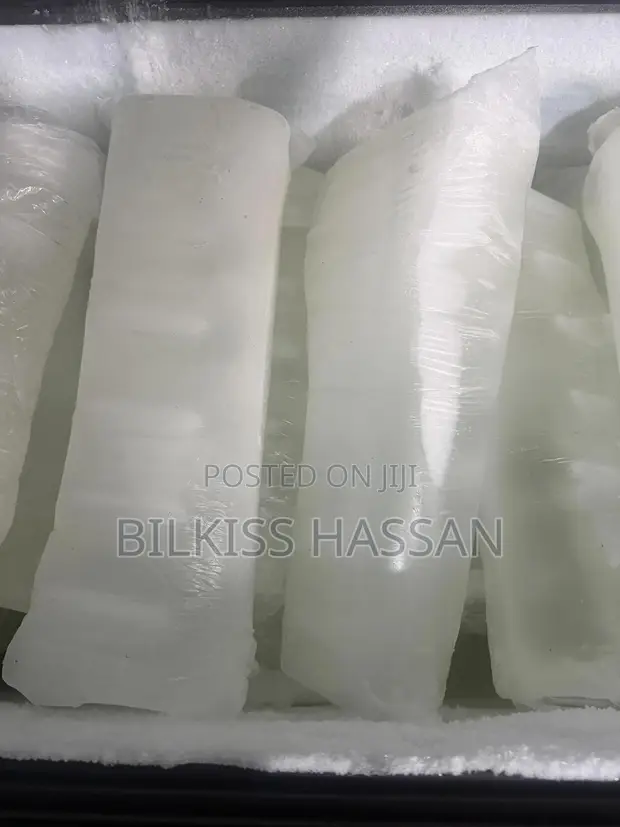 Long Lasting Ice Blocks - 1