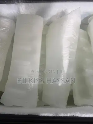 Long Lasting Ice Blocks
