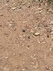 Titled Plot of Land for Sale at Awoshie - 4