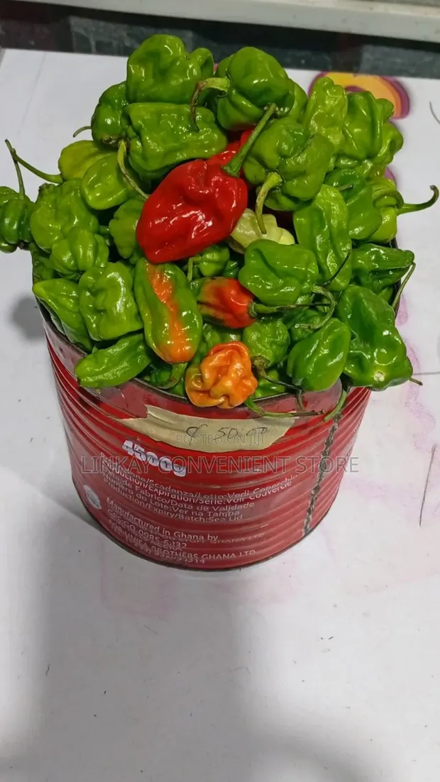 Hot Pepper - 1