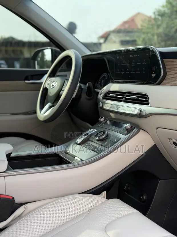 Hyundai Palisade 2020 - 1