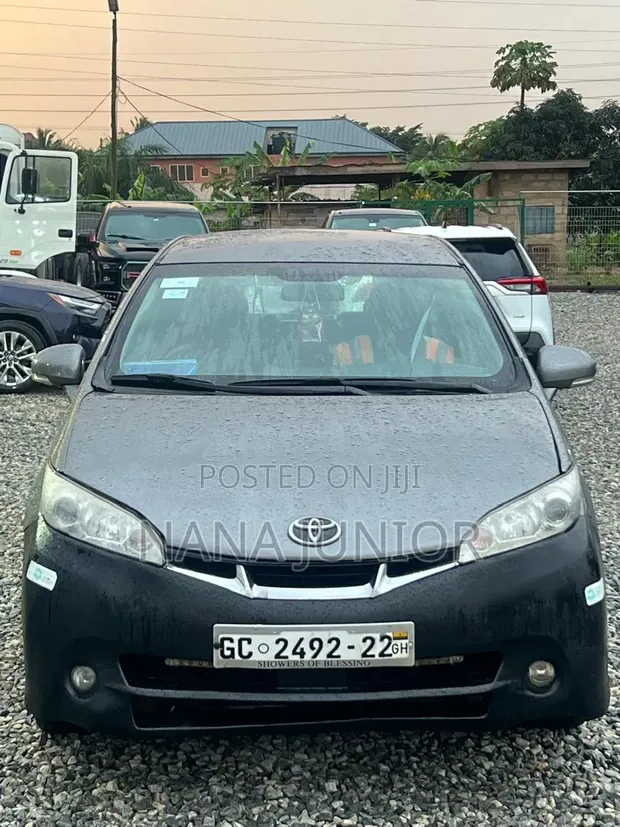 Toyota Wish 2010 Silver - 1