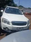 Daewoo Winstorm 2011 White - 3