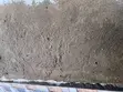 Damp Wall Repair Service - 5