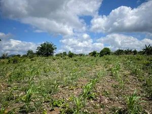 Land for Sale at Asuboi, Off Suhum Road (Per Plot)