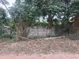 Genuine Half Plot for Sale in Sasaabi - 3